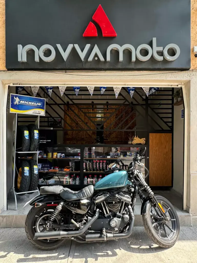 HARLEY DAVIDSON IRON 883 XL 2019