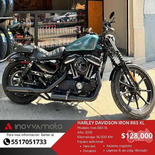 HARLEY DAVIDSON IRON 883 XL 2019