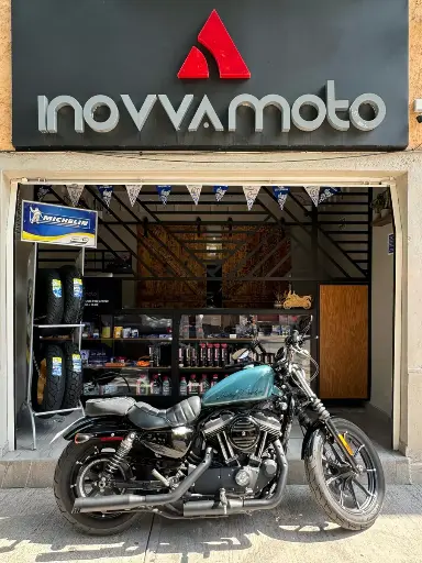 HARLEY DAVIDSON IRON 883 XL 2019