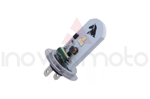 FOCO H7 6500KED STALLION 